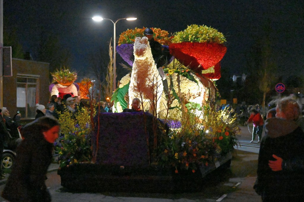 ../Images/Verlicht bloemencorso 2024 078.jpg